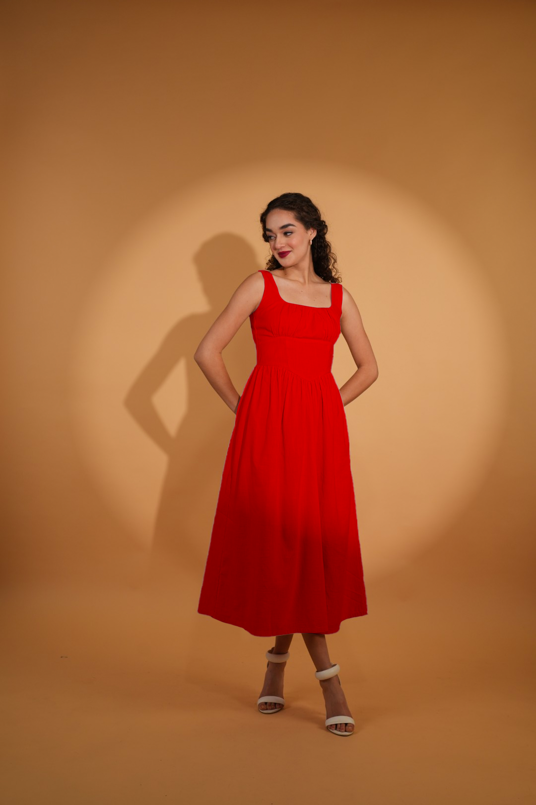 Vanessa Corset Style Dress in Spiced Cherry