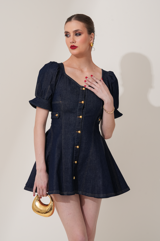 Taylor Denim Dress